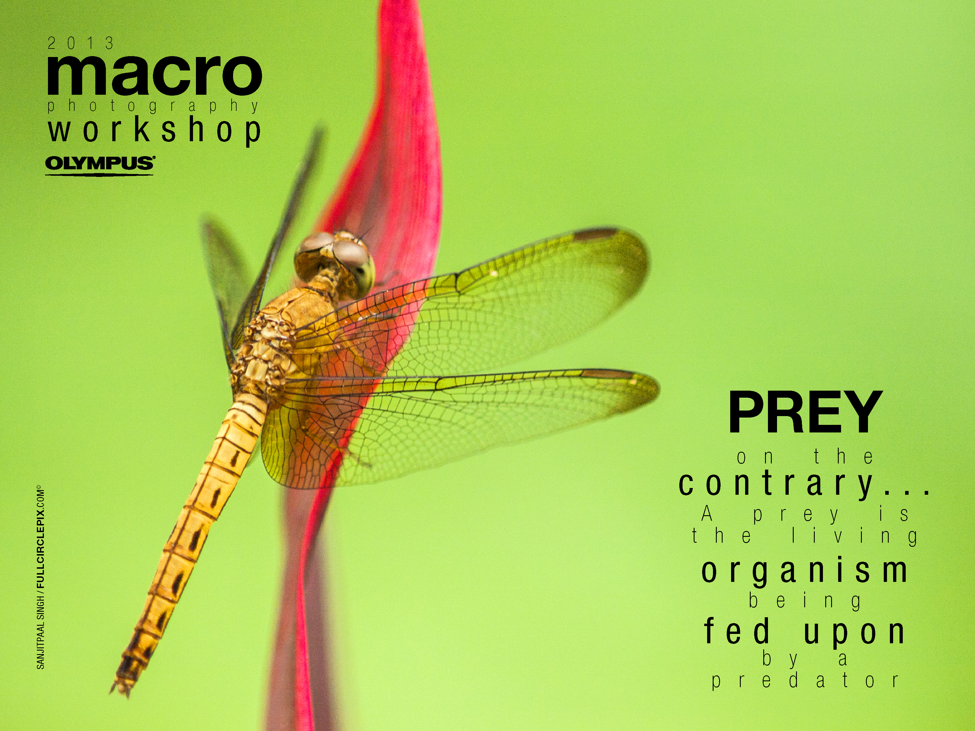 macro workshop2